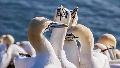 滦南伴游,定制QQ:3494206190微信:act1322