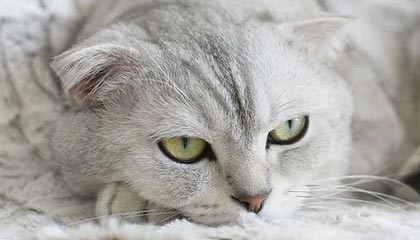 滦南伴游,定制QQ:3494206190微信:act1322